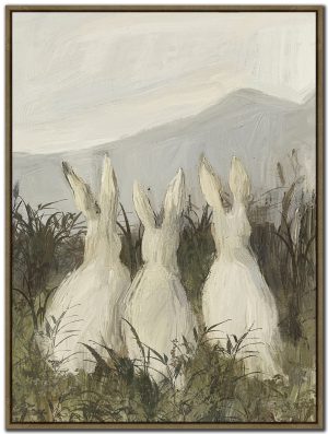 Observers Rabbits