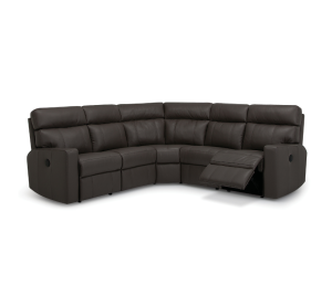 Oakwood Reclining Sectional