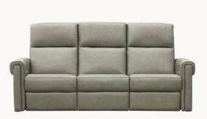 Renee Sofa Recliner